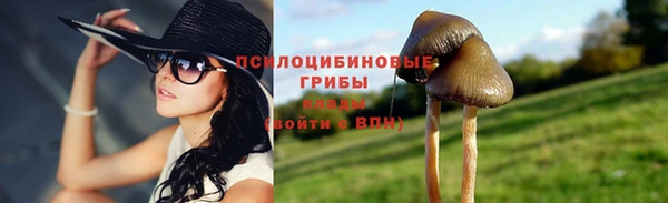 mdpv Арсеньев