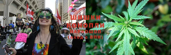 mdpv Арсеньев
