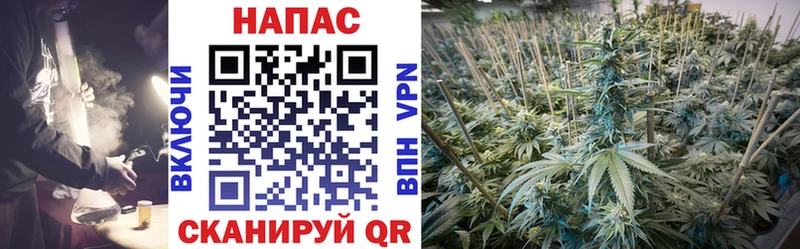 Шишки марихуана VHQ Медынь